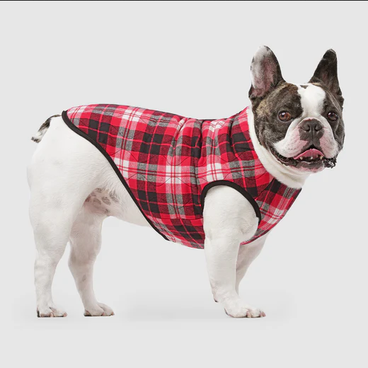 Reversible Vest (Black & Plaid) | Canada Pooch