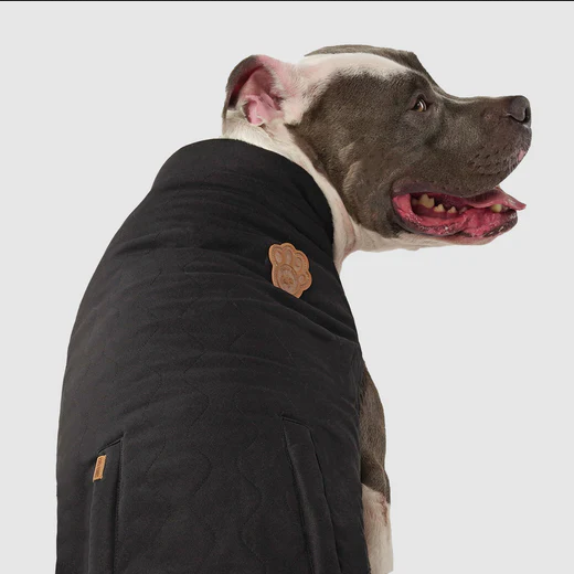 Reversible Vest (Black & Plaid) | Canada Pooch