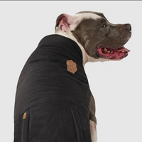 Reversible Vest (Black & Plaid) | Canada Pooch