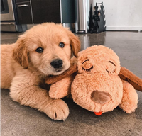 Snuggle Puppy | Smart Pet Love