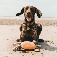 Rough & Tough Recycled Plastic Crab Dog Toy | Beco