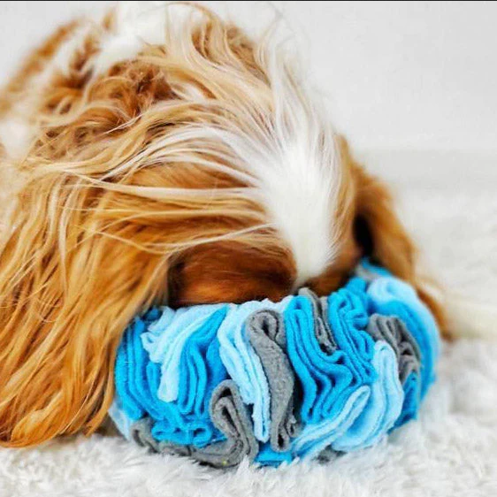 Snuffle Ring (Blue, 7") | FouFou Dog