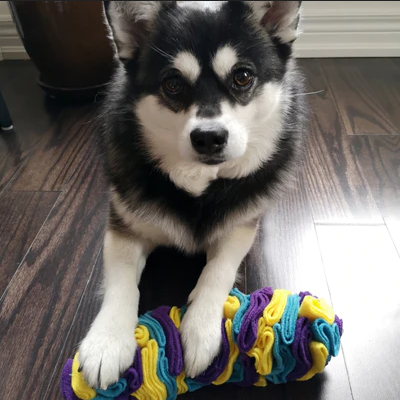 Snuffle Stick (7") | FouFou Dog