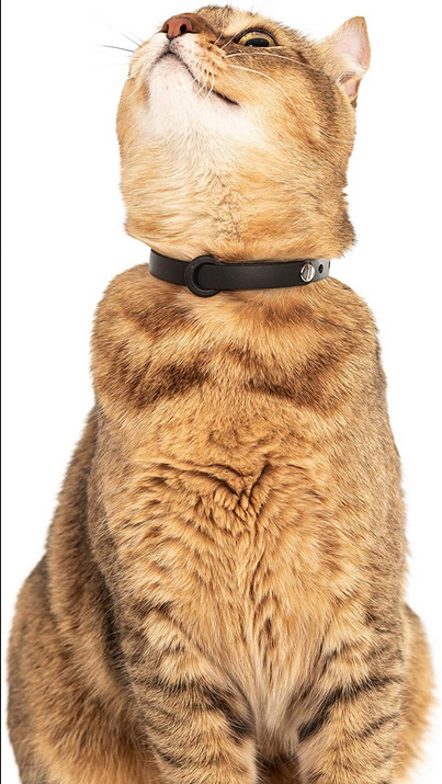 Comfort Cat Breakaway Collars | NUVUQ