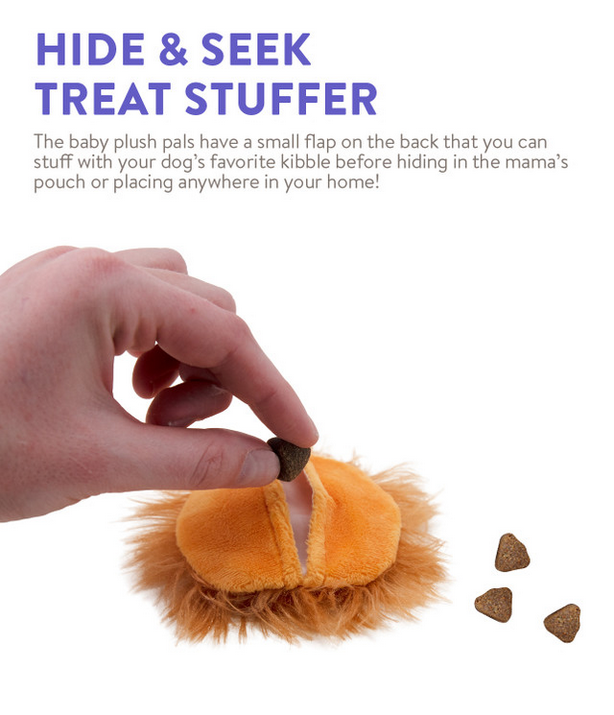 Pouch Pals Dog Toy (Lion) | Charming Pet
