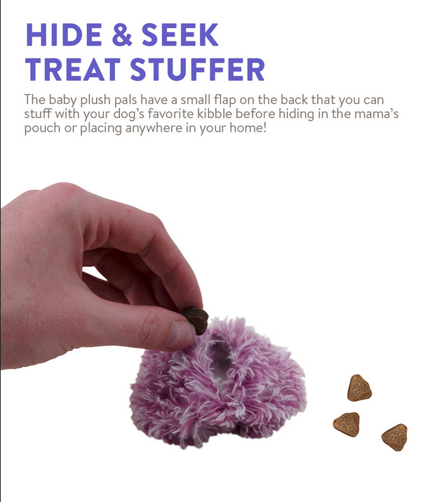 Pouch Pals Dog Toy (Monkey) | Charming Pet