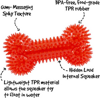 Medium Squeaker Bone (Assorted Colours, 6.5") | Gnawsome