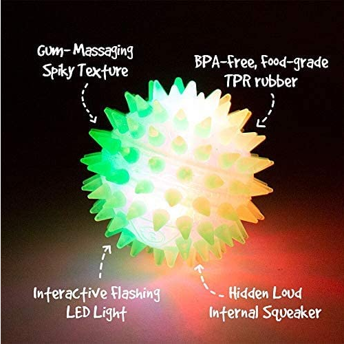 Medium Squeak & Light Ball (Assorted Colours, 3.5") | Gnawsome