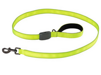 Rechargeable LED Light Up Leash (Green) | Nite Ize