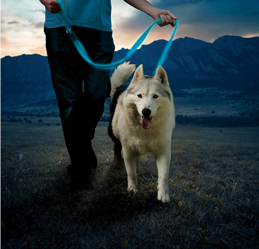 Rechargeable LED Light Up Leash (Blue) | Nite Ize