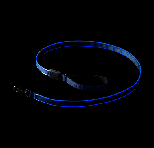 Rechargeable LED Light Up Leash (Blue) | Nite Ize