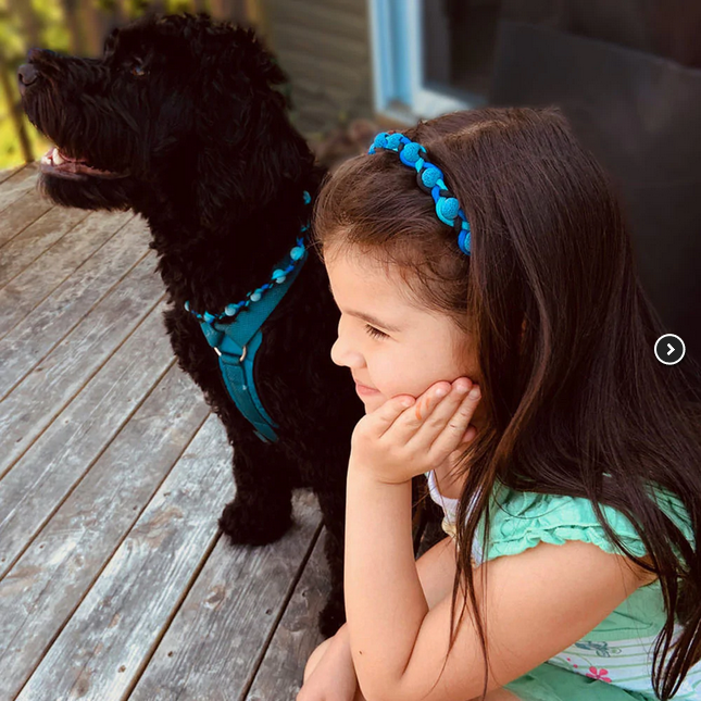 Lava Bead Hair Tie/Dog Collar (Small) | Atlantick