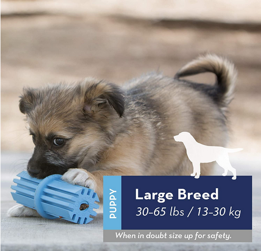 Puppy Teething Stick (Large) | KONG