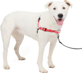 Easy Walk Deluxe Harness | Pet Safe
