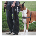 Easy Walk Deluxe Harness | Pet Safe