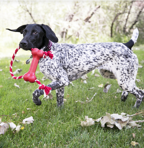 Goodie Bone With Rope (Medium) | KONG