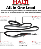 Hands-Free Active Lead (Large) | Company Of Animals