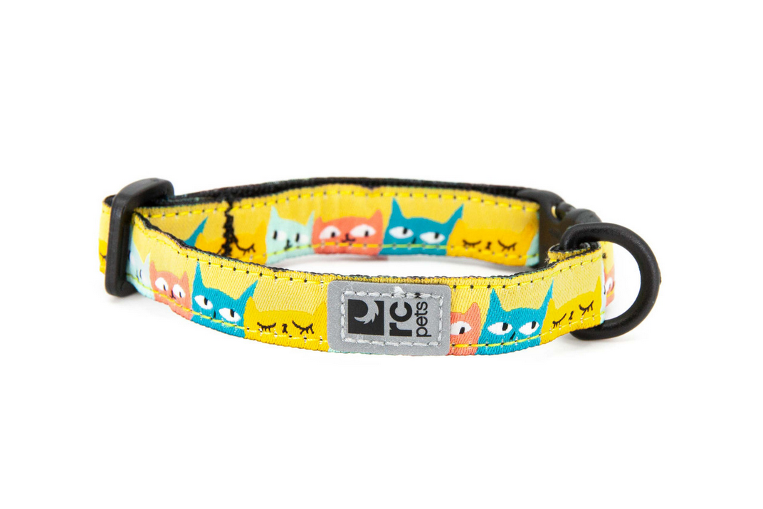 Kitty Breakaway Collar (Cat-titude) | RC Pets