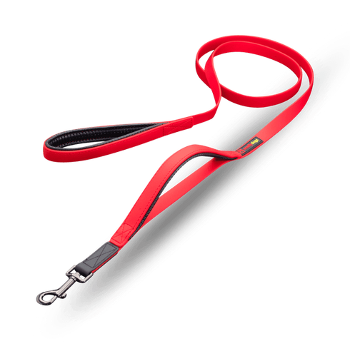 Waterproof Double-Handle Leash | Smellydogz