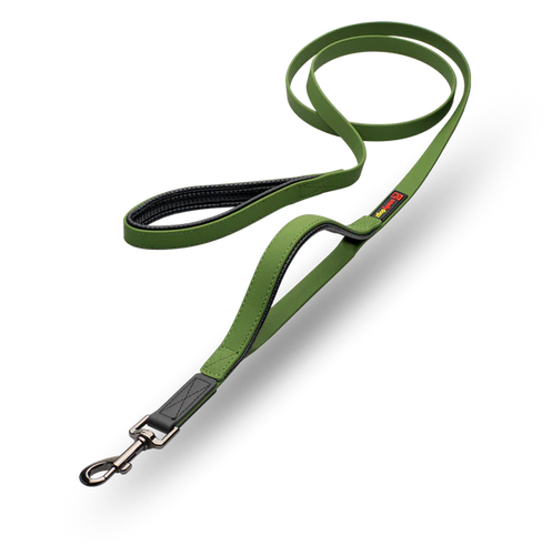 Waterproof Double-Handle Leash | Smellydogz