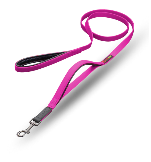 Waterproof Double-Handle Leash | Smellydogz