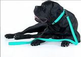 Waterproof Dog Leash (Glow-In-The-Dark, 4ft x 1") | Wau Dog