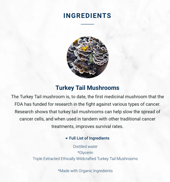 Turkey Tail Mushroom Liquid Triple Extract (59ml) | Adored Beast Apothecary