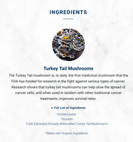 Turkey Tail Mushroom Liquid Triple Extract | Adored Beast Apothecary