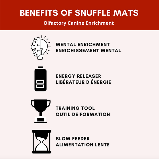 Radiant Butterfly Snuffle Mat | PawzNDogz