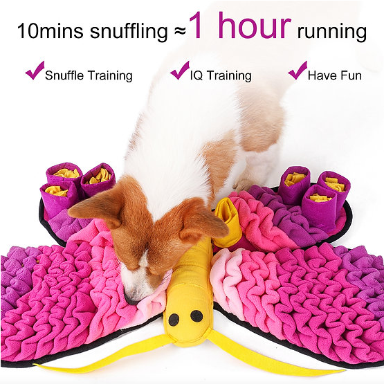 Radiant Butterfly Snuffle Mat | PawzNDogz