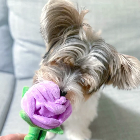 Hide 'N Seek Nosework Plush Rose (Lilac) | FouFou Dog