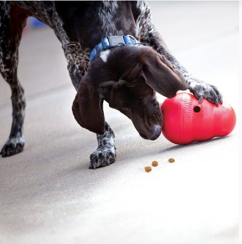 Wobbler (Large) | KONG