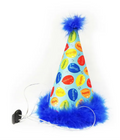 Birthday Party Hat | Huxley & Kent