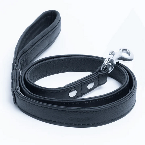 Alpine Leather Leash | Angel Pet Supplies