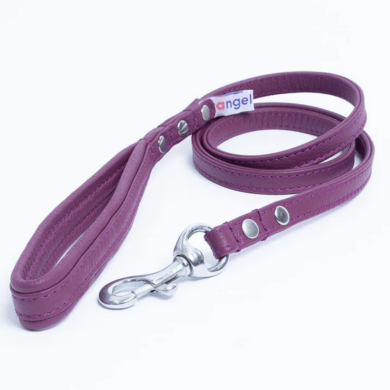 Alpine Leather Leash | Angel Pet Supplies