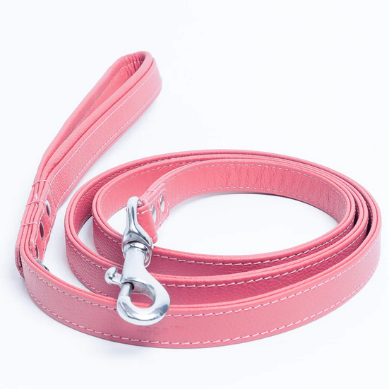 Alpine Leather Leash | Angel Pet Supplies
