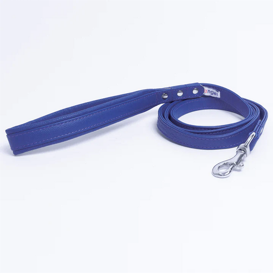 Alpine Leather Leash | Angel Pet Supplies