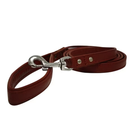 Alpine Leather Leash | Angel Pet Supplies