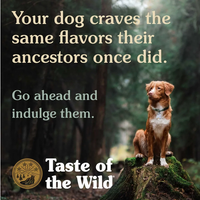 Wild Southwest Canyon Formula (Dog Food) | Taste Of The Wild