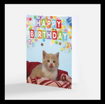 Happy Birthday Card (Cat) | Danny's Paw Prints