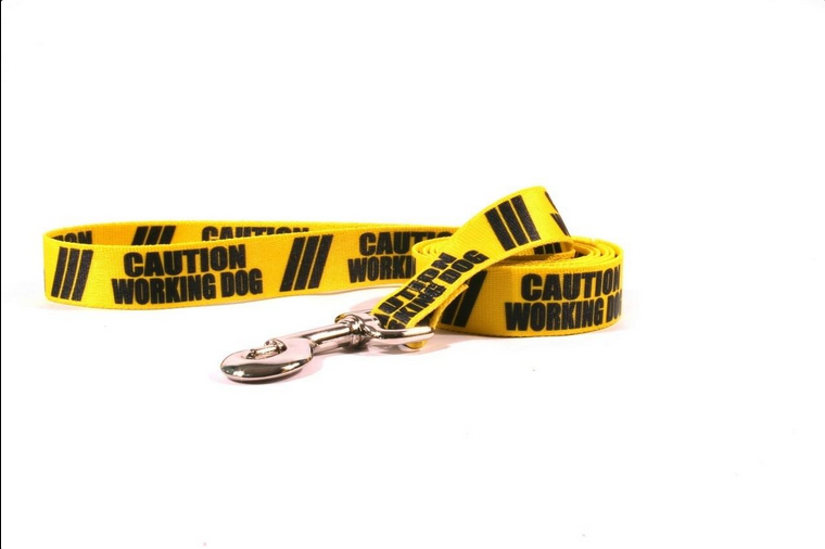 Caution Collars & Leashes | Yellow Dog Designs