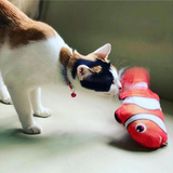 Wriggle Clown Fish Cat Toy | Trixie