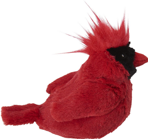 Song Bird Cat Toy | Spot