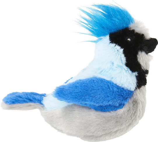 Song Bird Cat Toy | Spot