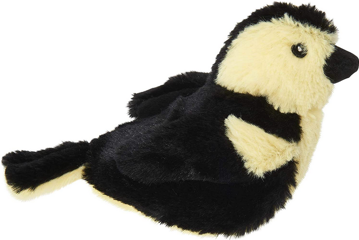 Song Bird Cat Toy | Spot