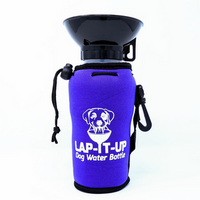 Water Bottle | Lap It Up