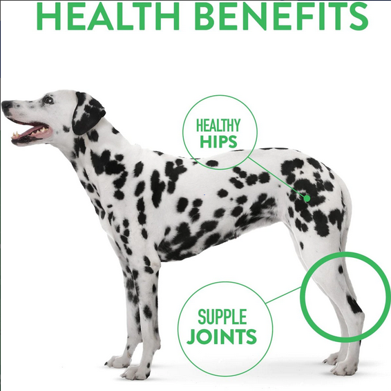 Hip & Joint Treats (Soft & Chewy Bacon) | Dogswell