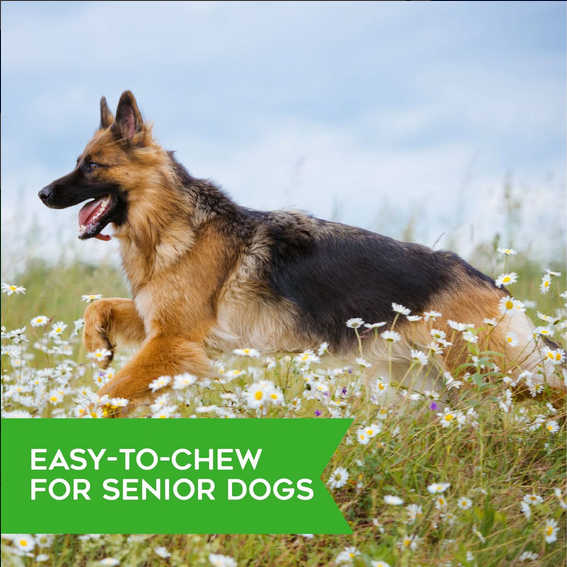 Hip & Joint Treats (Soft & Chewy Bacon) | Dogswell