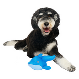 Chill Seeker Cooling Pals (Dolphin) | Canada Pooch