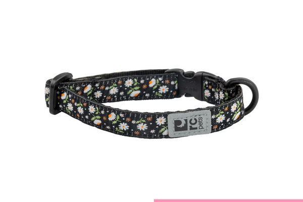 Kitty Breakaway Collar (Daisies) | RC Pets
